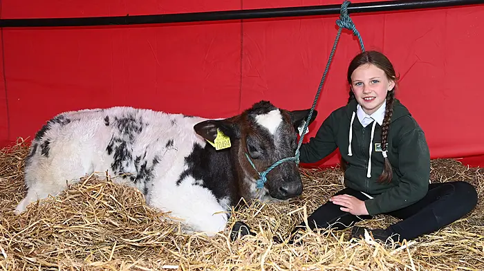 Ella O'Donovan, Dunmanway having a quiet moment with her four-month old calf \