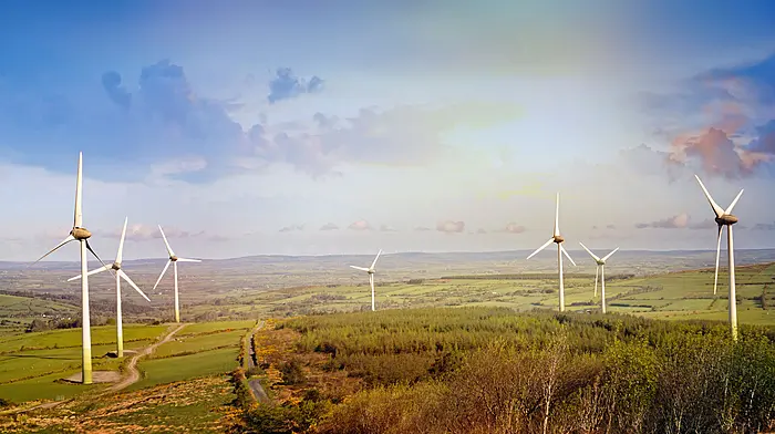 Cork named Ireland’s third most sustainable county Image
