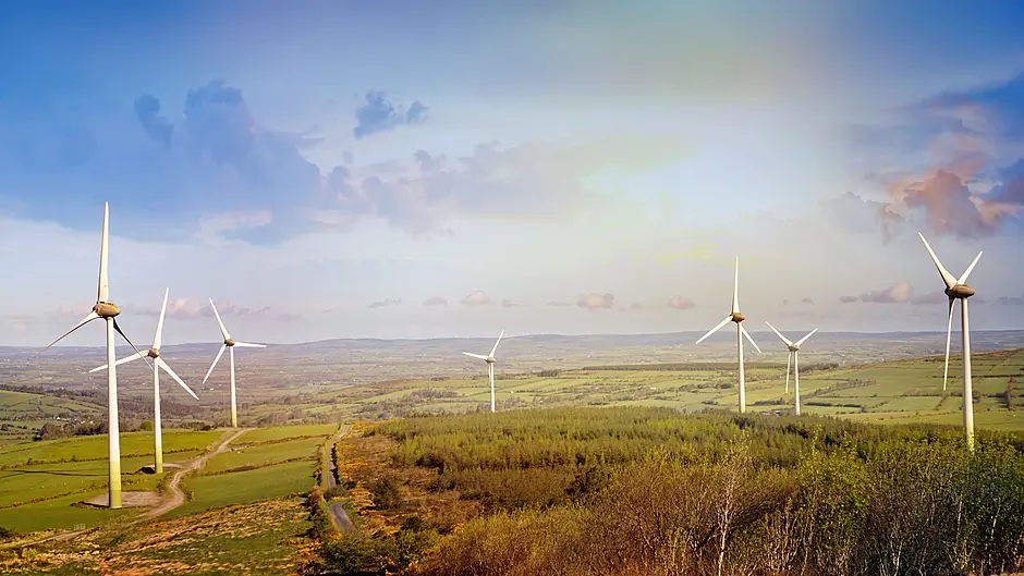 Cork named Ireland’s third most sustainable county Image