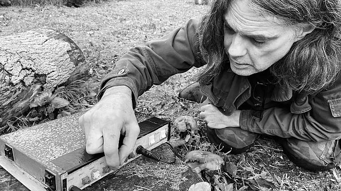 Music from the mushroom man Image
