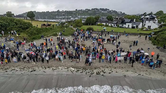 Don't mussel in our bay: Locals protest Kinsale Mussel farm plans Image