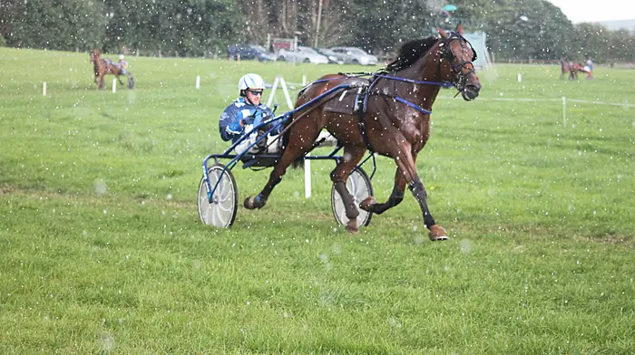 Schull driver Mike O’Mahony leads the way with two winners at Lyre Image