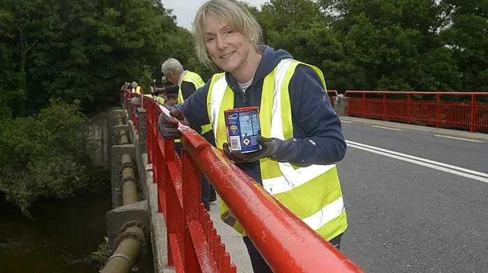 Deirdre Gilly hard at work with Innishannon Tidy Towns painting the bridge to give it a make-over ahead of the annual Gardens & Galleries festival. (Photo: Denis Boyle)