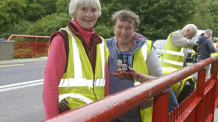 Alice Taylor and Margaret Murphy helping to paint the Innishannon bridge. (Photo: Denis Boyle)