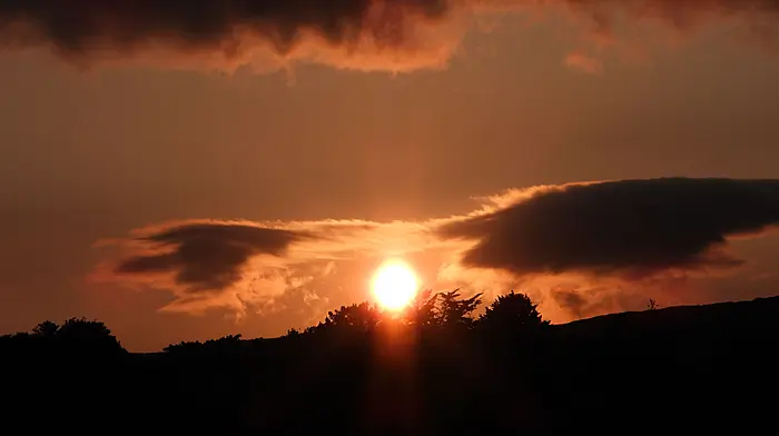Reader’s Picture of the Week Image