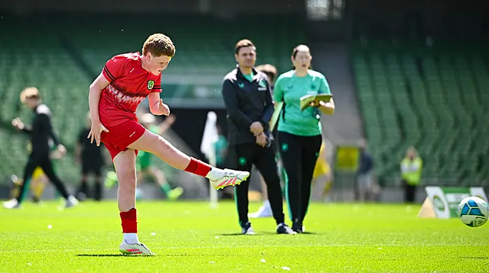 Rath National School's young soccer stars create lifelong memories at the Aviva Image