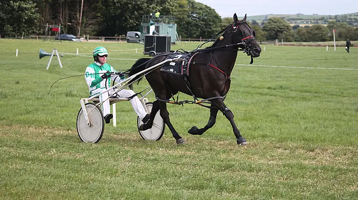 Donal Murphy rolls back the years with two wins in Lyre Image
