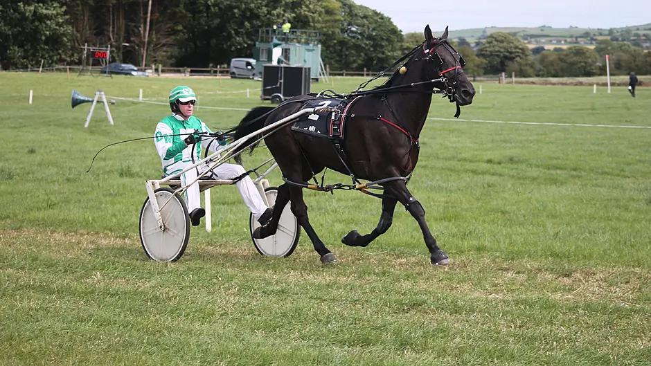 Donal Murphy rolls back the years with two wins in Lyre Image