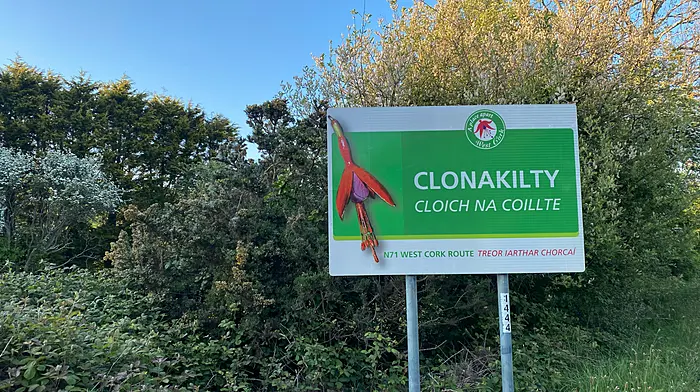 246 houses planned for Clonakilty, as Bandon plans go to An Bord Pleanála Image