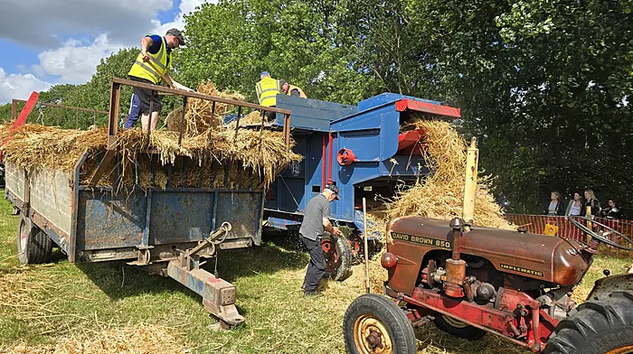 Threshing at the Innishannon Steam and Vintage Rally  which was held recently.