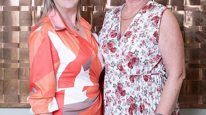 Noreen Corkery and Sandra Kind from Passage West at the annual Shine Ladies Lunch held at the Clayton Hotel. (Photo: Gerard McCarthy)