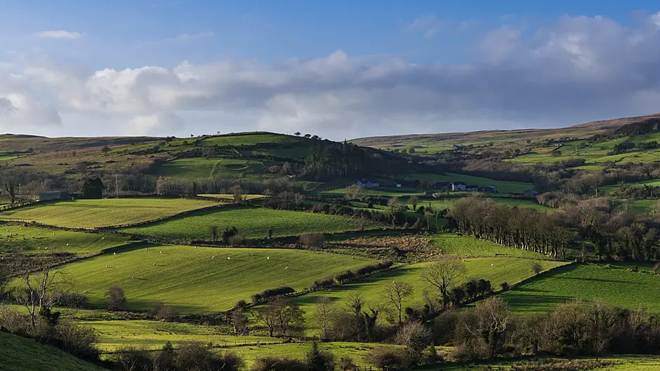 ICSA call for extension to tax reliefs Image