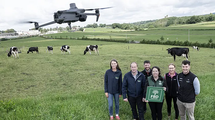 Photo competition celebrates dairying Image