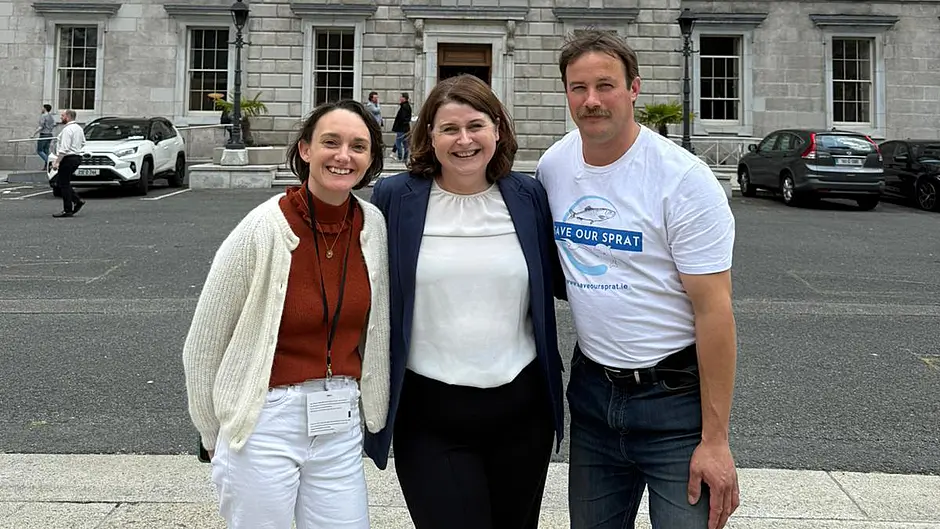 Social Democrats host Save Our Sprat group in Dáil Image