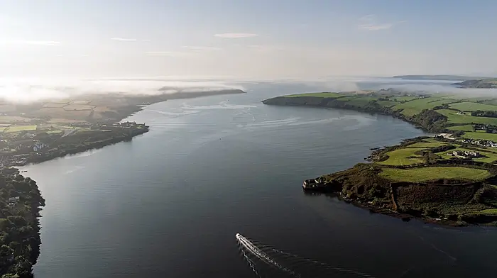 Last push against Kinsale mussel farm as petition reaches 5,500 Image