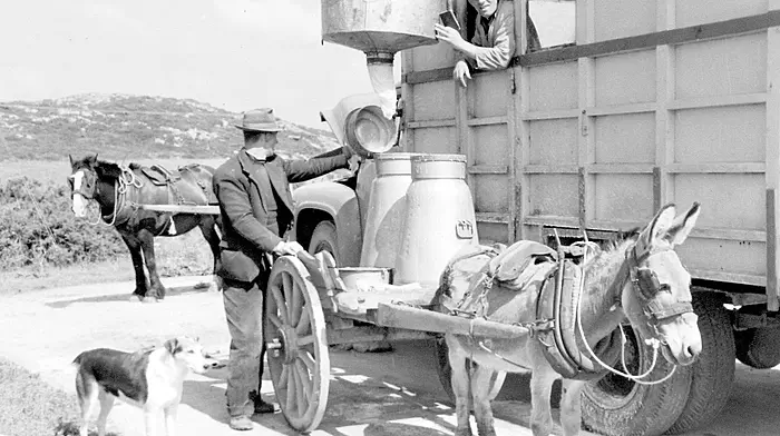 c1970s; at work at the mobile creamery
at Ballymacrown near Baltimore in the 1950s were Timmy (Timmo)
O’Driscoll, Ardagh (near the cart) and Paddy O’Donovan (in the lorry).