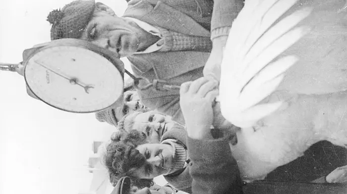 Christmas turkey sale in Dunmanway, December 1978.