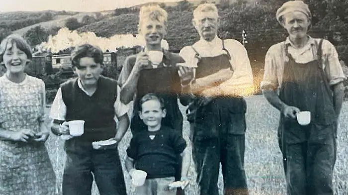 ‘Making Hay’ as one of the last steam trains passes by in the background in Ballinascarthy. From left: Eily Meade, Tommy Healy, Leo Meade, Con Donovan, Bill Dempsey, and Frank Holland. c1954
