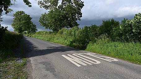 Hauliers see red over overgrown hedgerows Image