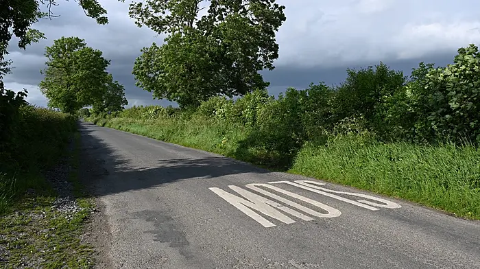 Hauliers see red over overgrown hedgerows Image
