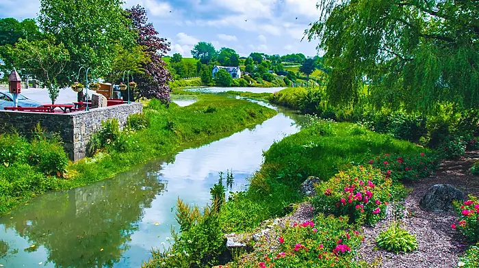 Local photographer Liam Barry captured the floral art display created by the Ballinadee Tidy Towns group.