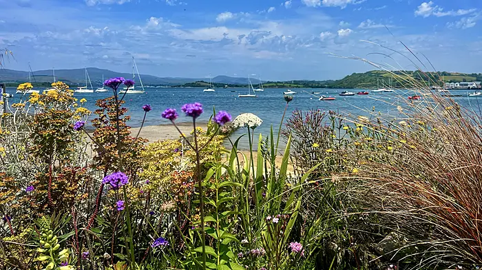 Reader’s Picture of the Week Image