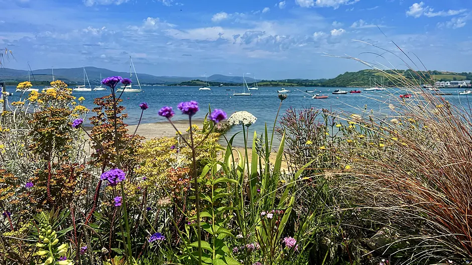 Reader’s Picture of the Week Image