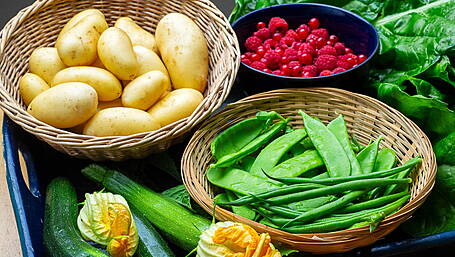 GARDENING: Enjoy the fruits of your labour Image