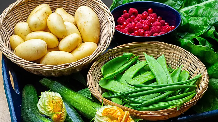GARDENING: Enjoy the fruits of your labour Image