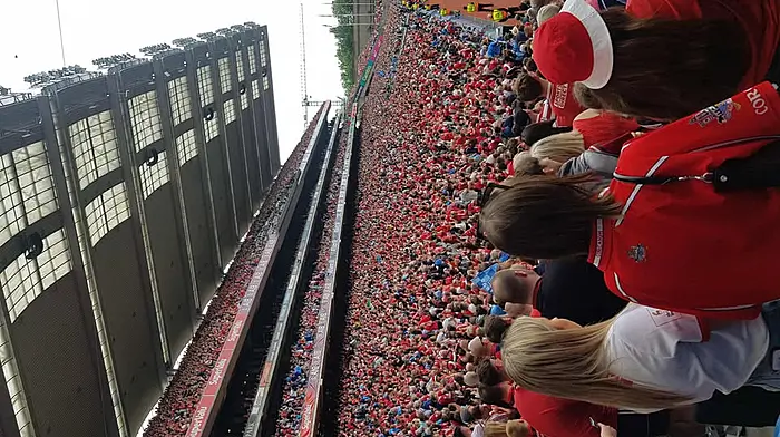 Taken from the Devin Stand