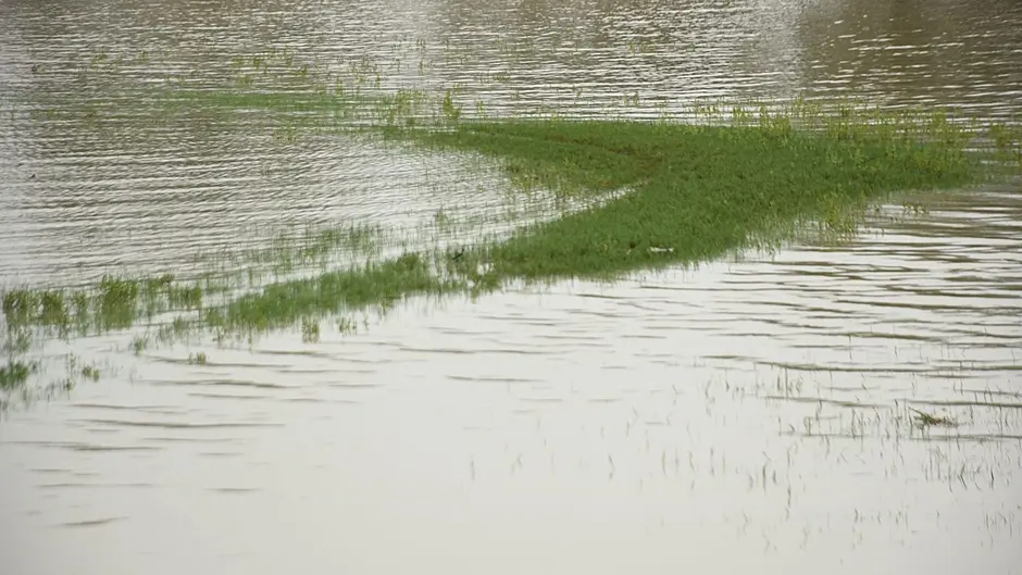 Increase in ‘extreme weather events’ causing flooding misery and damaging homes and roads in Union Hall Image