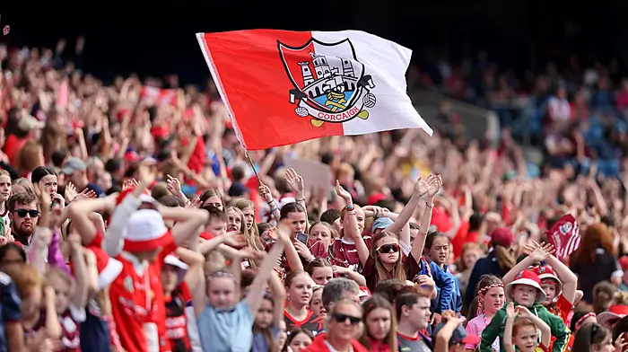 Melissa Duggan urges Cork hurling fans to support ladies’ footballers in Dublin on Saturday Image