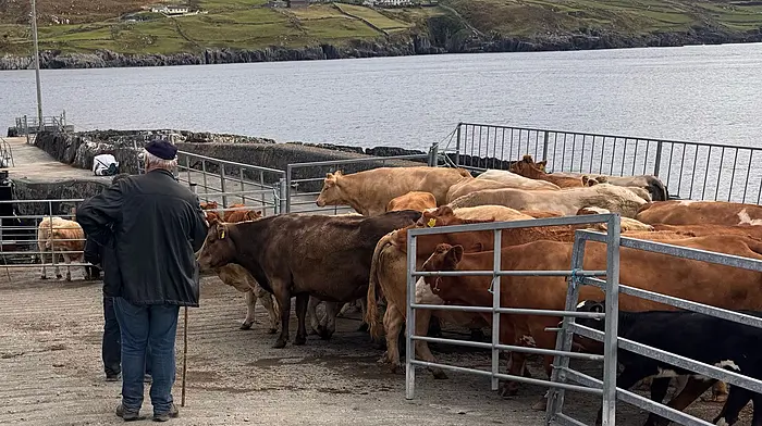 Farming with ‘one hand tied behind our backs’ Image