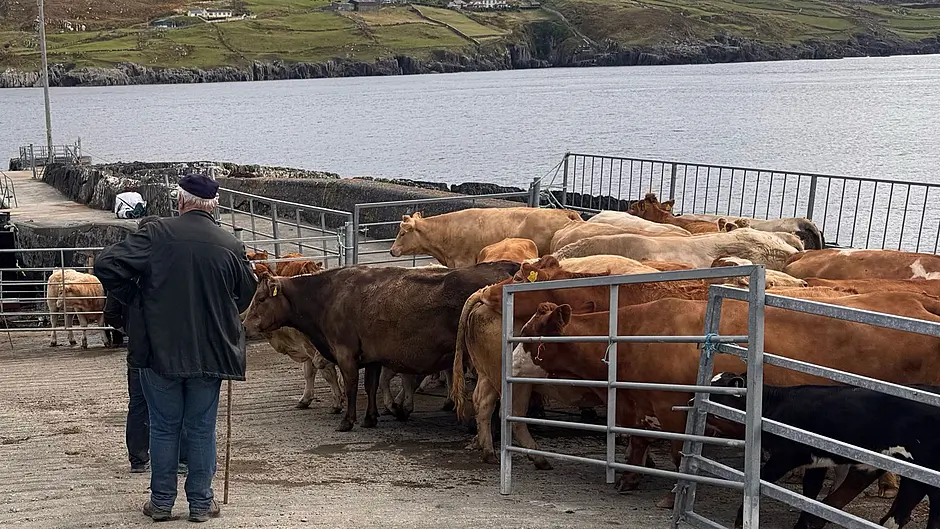 Farming with ‘one hand tied behind our backs’ Image