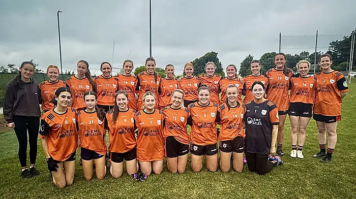 Five West Cork teams to contest LGFA county league finals Image