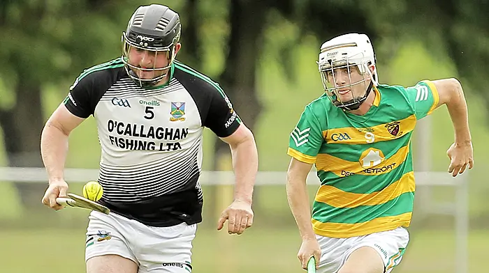 ‘Nobody gave us a chance but we rattled them,’ says Gabriel Rangers manager after county semi-final loss Image