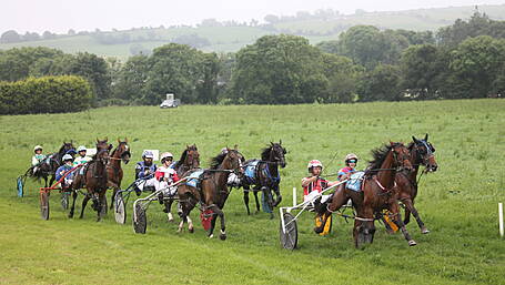 Duc D'Arry delivers to win top-grade trot Image