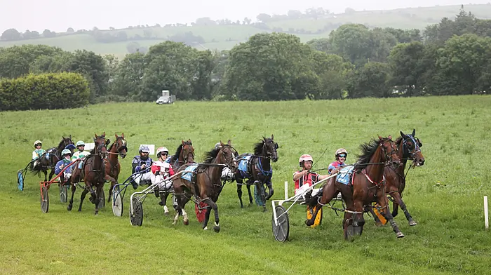 Duc D'Arry delivers to win top-grade trot Image