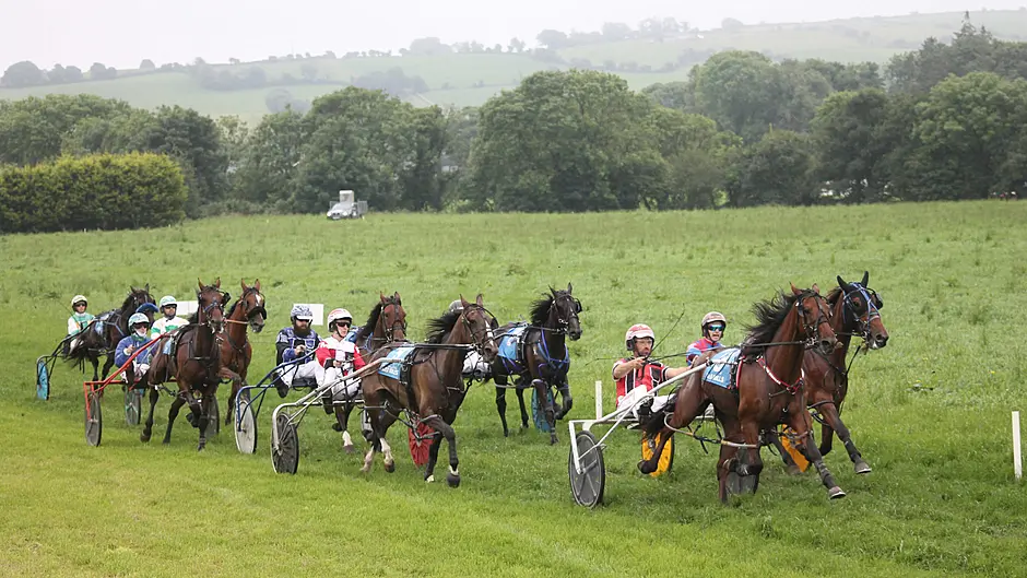 Duc D'Arry delivers to win top-grade trot Image