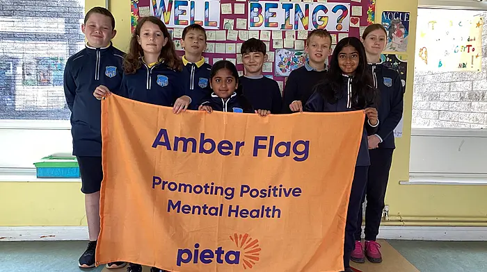 Bandon Primary School flies flag for wellbeing Image