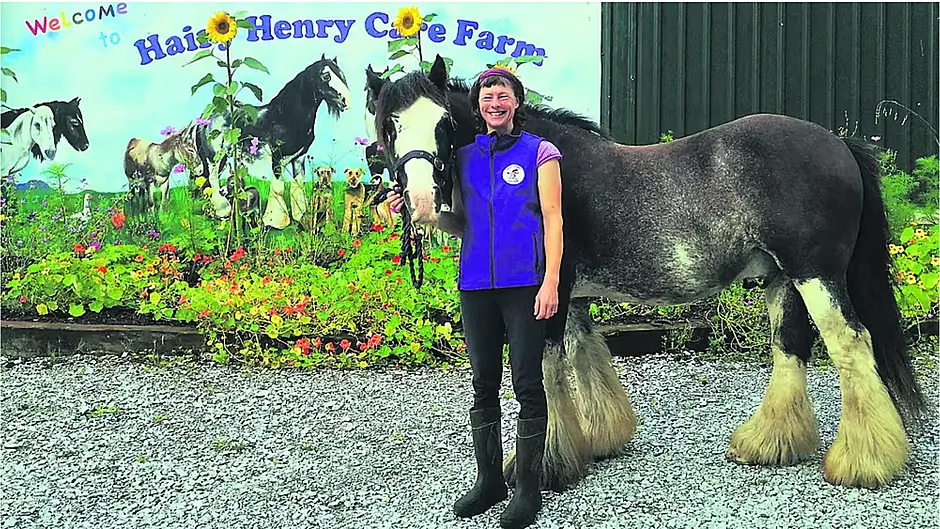 Fundraiser for Ballylickey care initiative Image