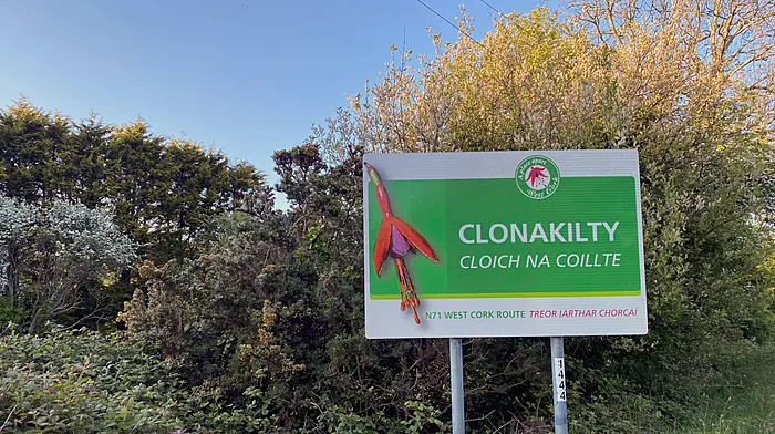 No funding to repair collapsed Clonakilty bridge Image
