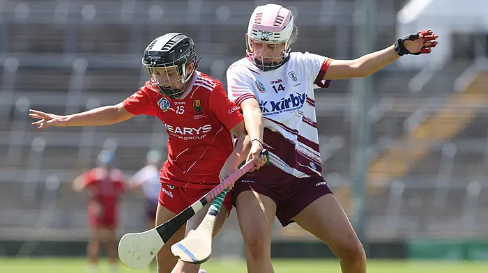 ‘We just didn’t perform. Simple as,’ rues Cork boss after All-Ireland U23 camogie final defeat Image