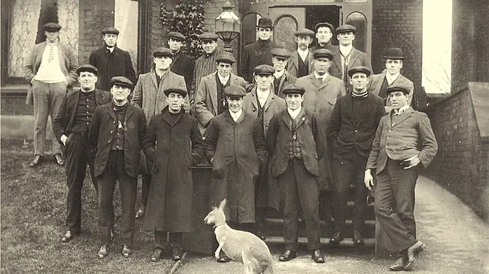 John Fihelly: The West Cork Wallaby Image