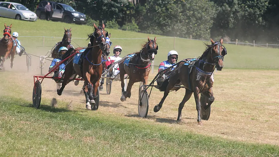Hat-trick hero Duc D’Arry delights at Lyre Image