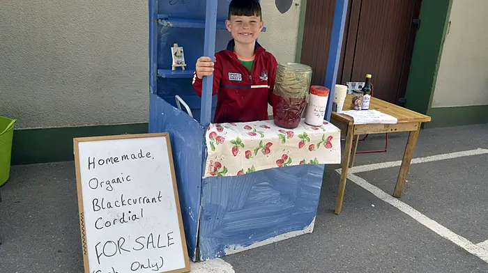 Seven-year-old Mark Walsh at his homemade lemonade stand at the annual Gardens and Galleries festival in Innishannon. (Photo: Denis Boyle)