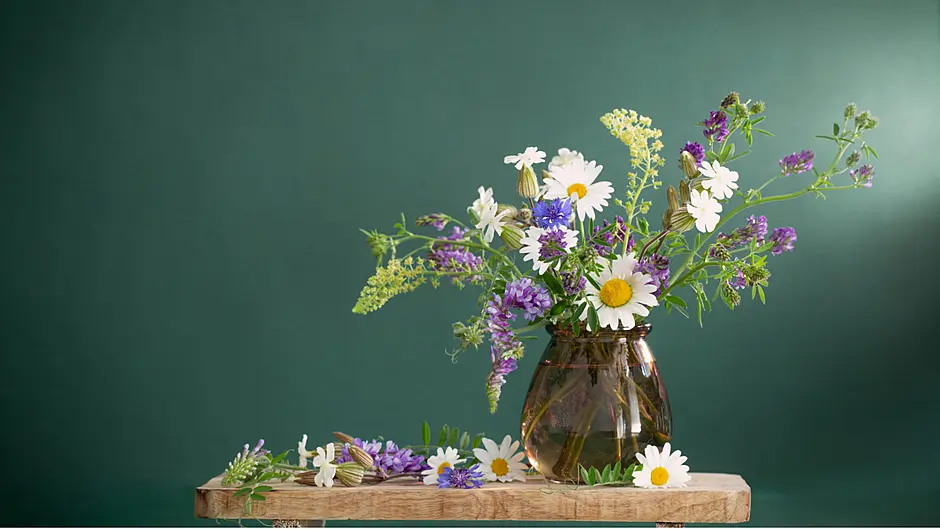 INTERIORS: Bring the sun into the home Image