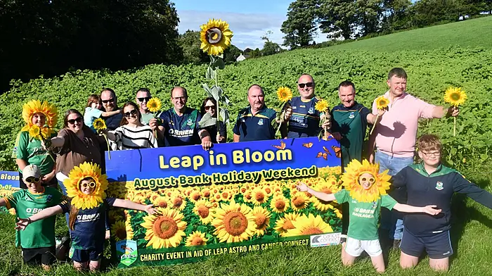 Blooming marvellous! Leap a sea of yellow as sunflowers set to boost GAA fund and charity Image
