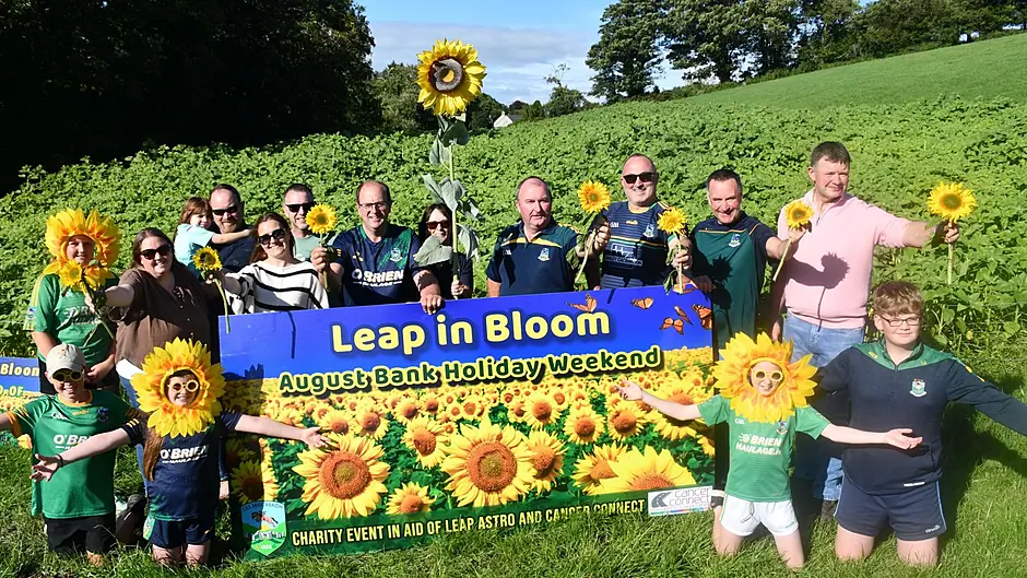 Blooming marvellous! Leap a sea of yellow as sunflowers set to boost GAA fund and charity Image