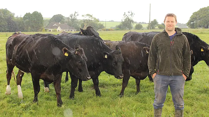 Derogation key to West Cork Wagyu success Image